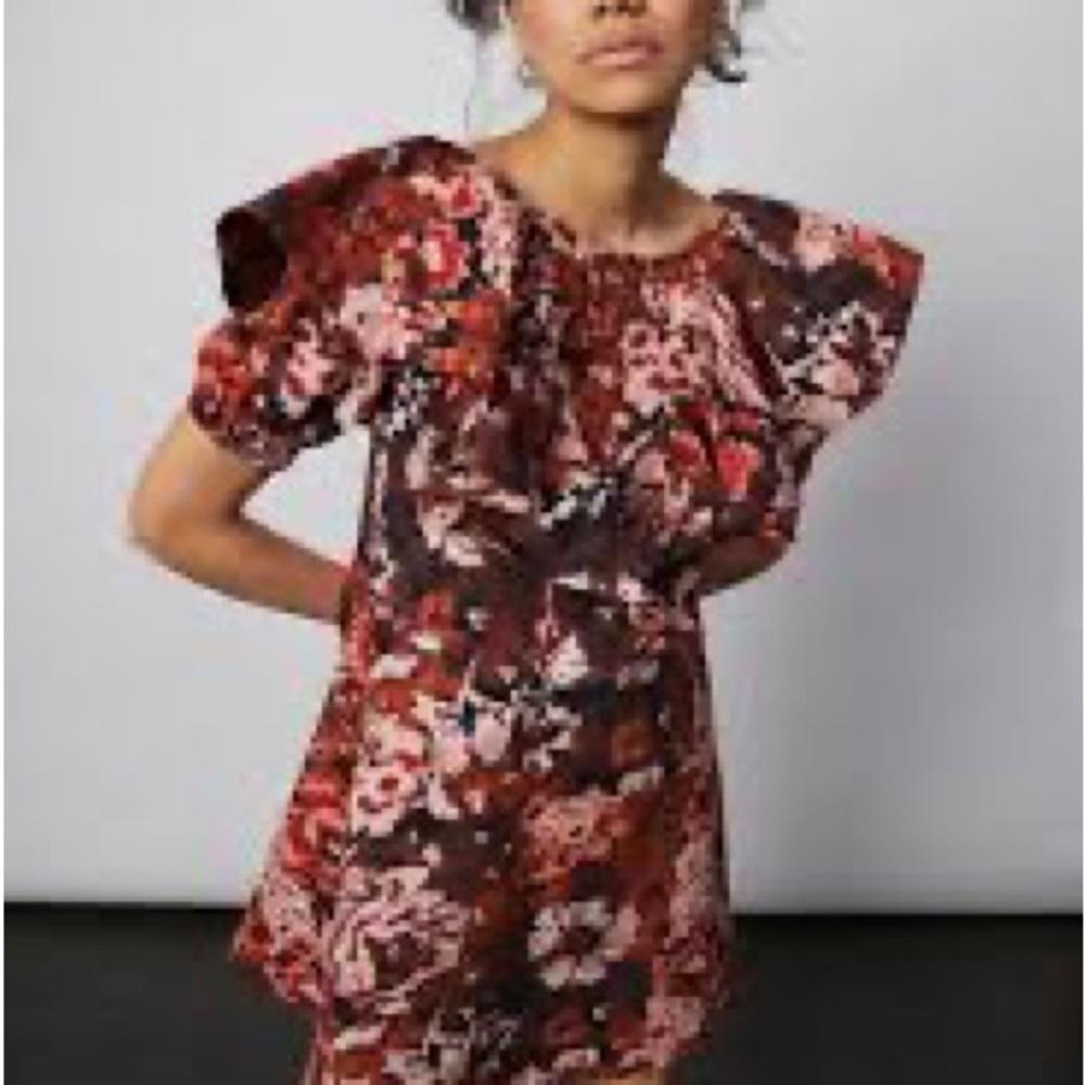 Floral Ruffle Sleeve Dress - Picture 3 of 8